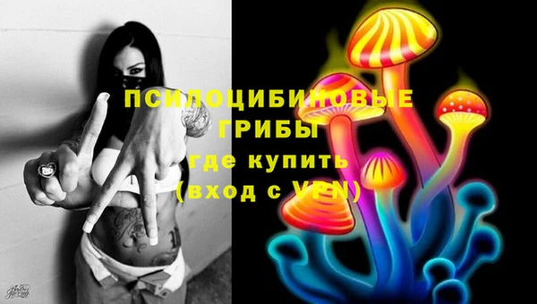 дурь Арсеньев