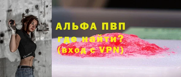 стаф Аркадак