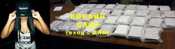 стаф Аркадак