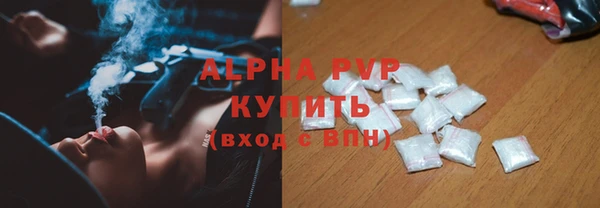 стаф Аркадак
