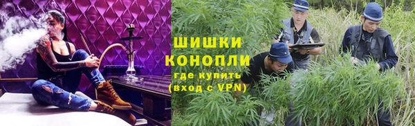 дурь Арсеньев