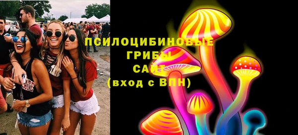 стаф Аркадак